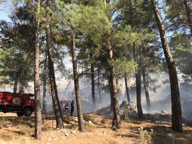 Antalya’da Orman Yangını