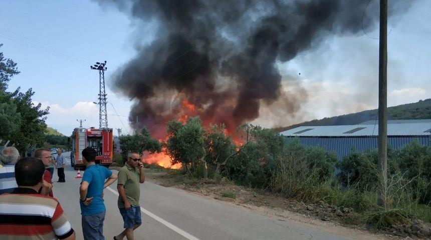 (&ouml;zel Haber) Bursa&rsquo;da Kereste Fabrikası Alev Alev Yandı