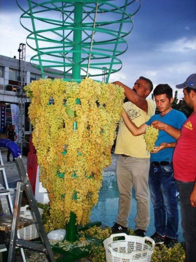 Festivalin Simgesi İçin 1 Ton Üzüm Kullanıldı