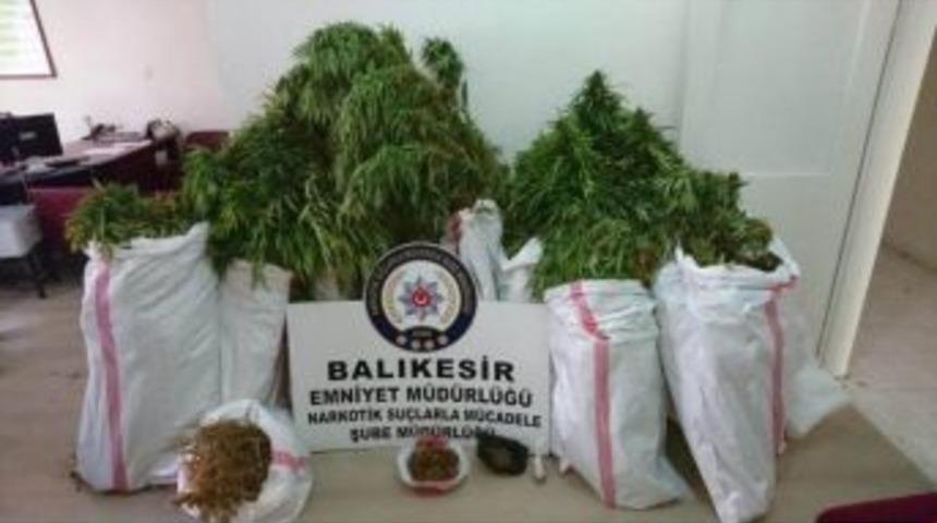 Gönen’de Bahçesinde Kenevir Yetiştirilen Eve Operasyon