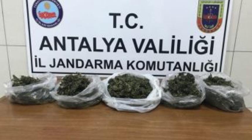 Alanya&rsquo;da 2 Kilo Esrar Ele Ge&ccedil;irildi