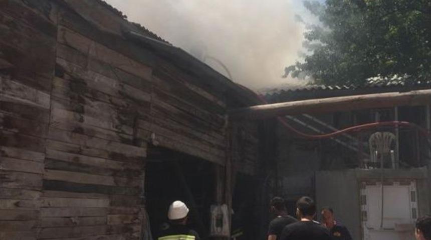 Hamamın Odunları Alev Aldı