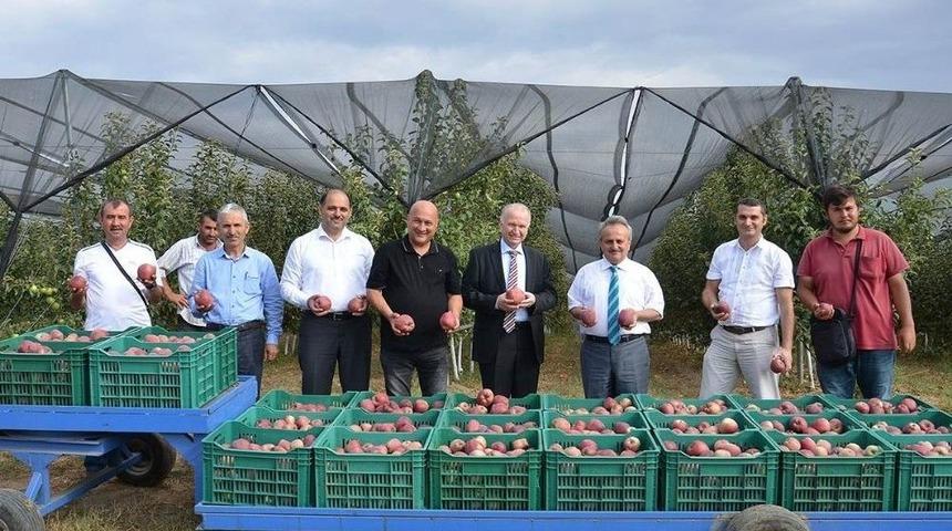 Vali Ceylan, Hayrabolu&rsquo;da İncelemede Bulundu