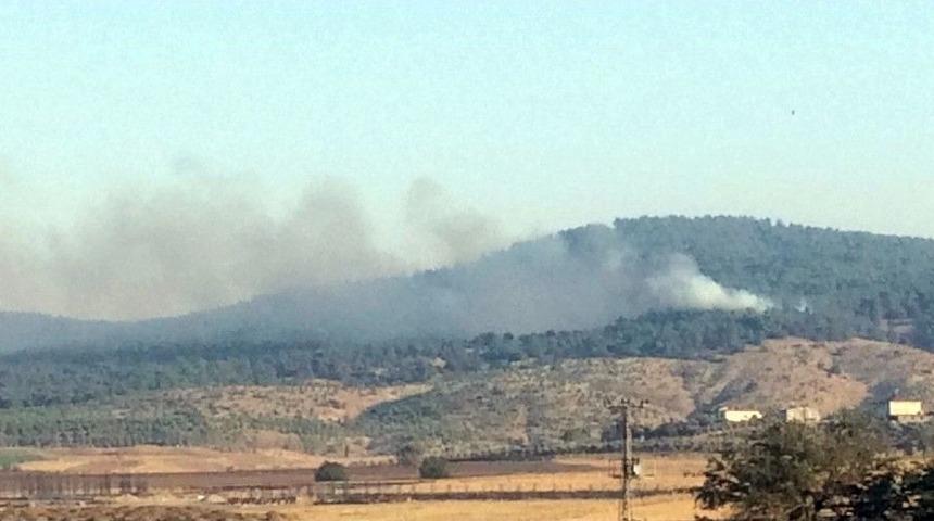 Kahramanmaraş&rsquo;ta Orman Yangını