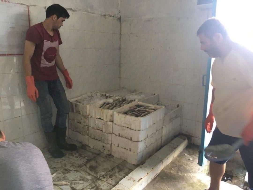 Denizi Olmayan Manisa&rsquo;dan Uzak Doğu&rsquo;ya Balık İhracatı