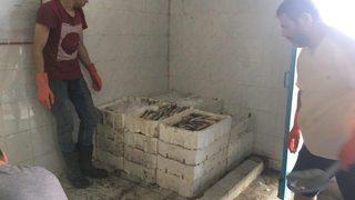 Denizi Olmayan Manisa’dan Uzak Doğu’ya Balık İhracatı