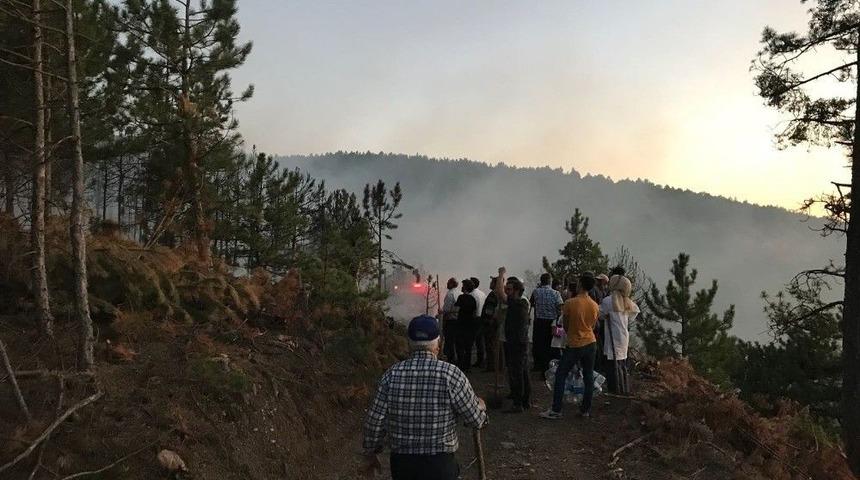 Kaymakam Ve Vatandaşlar, Ormanı Yanmaktan Kurtardı