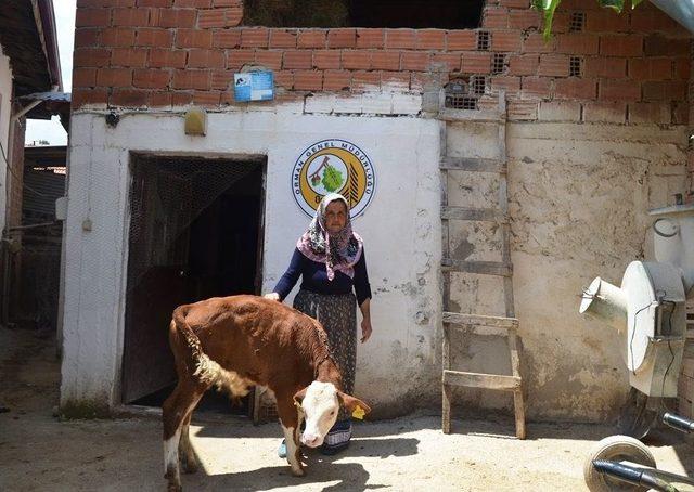 Köylülere Kredisi Desteği