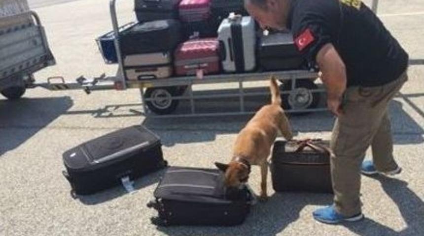 Yurt Dışından Gelen Yolcunun Valizinden Uyuşturucu &Ccedil;ıktı