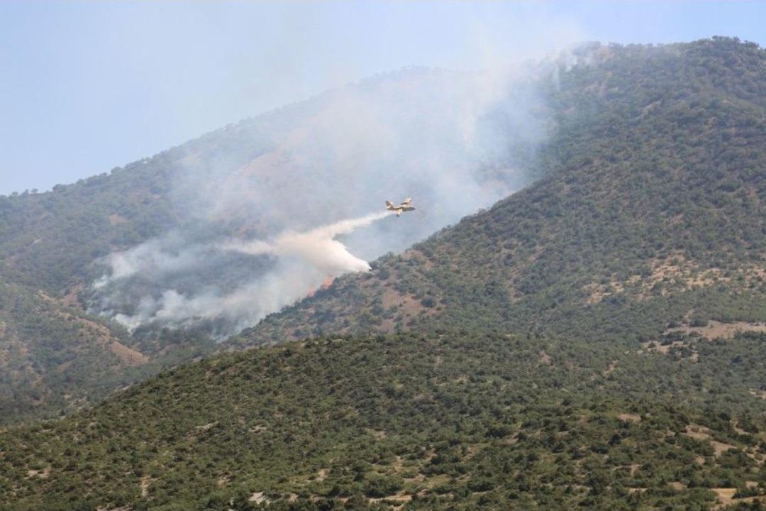 Ormana Sı&ccedil;rayan Yangına, U&ccedil;akla M&uuml;dahale