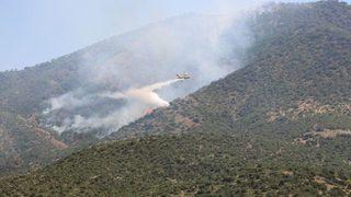 Ormana Sıçrayan Yangına, Uçakla Müdahale