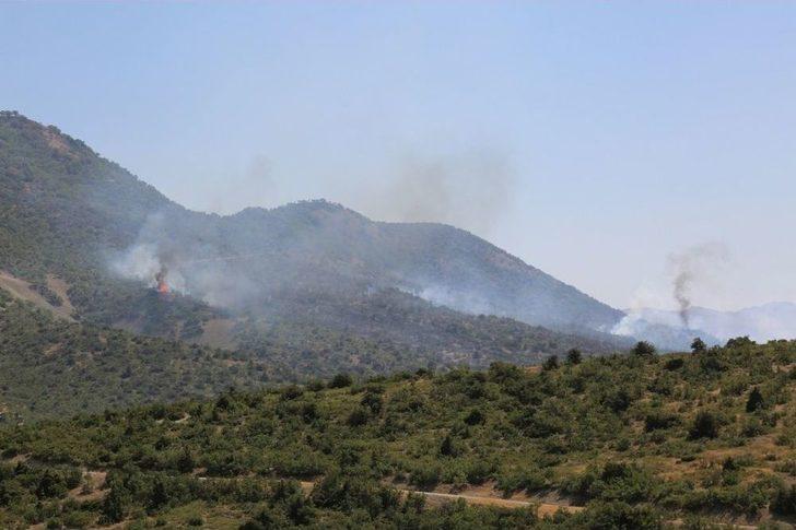 Ormana Sıçrayan Yangına, Uçakla Müdahale G2