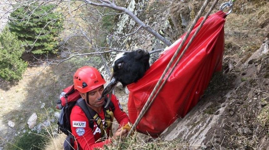 Kayalıklarda Mahsur Kalan Ke&ccedil;i İ&ccedil;in 6 Saatlik Operasyon