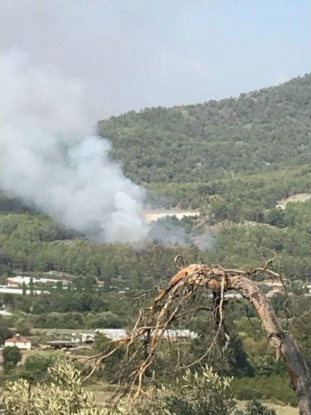 Dalaman’da 1 Hektar Orman Kül Oldu