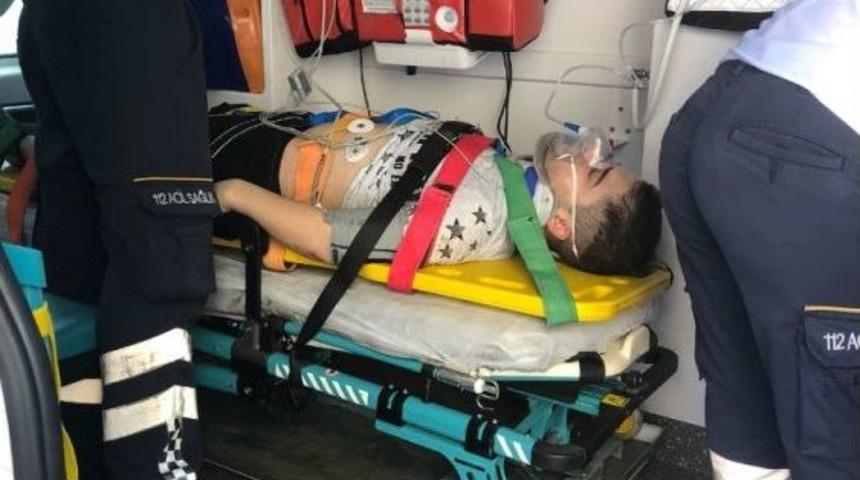 3. Kattan Düştü, Asma Hayatını Kurtardı