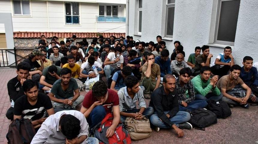 Tosya&rsquo;da G&ouml;&ccedil;men Ka&ccedil;ak&ccedil;ılarına Ceza Yağdı