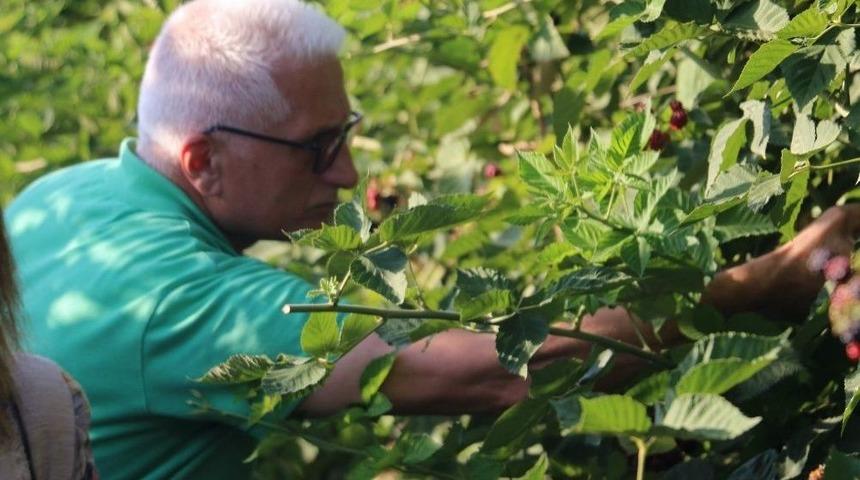 Siirt&rsquo;ten D&uuml;nyaya Elma İhracatı