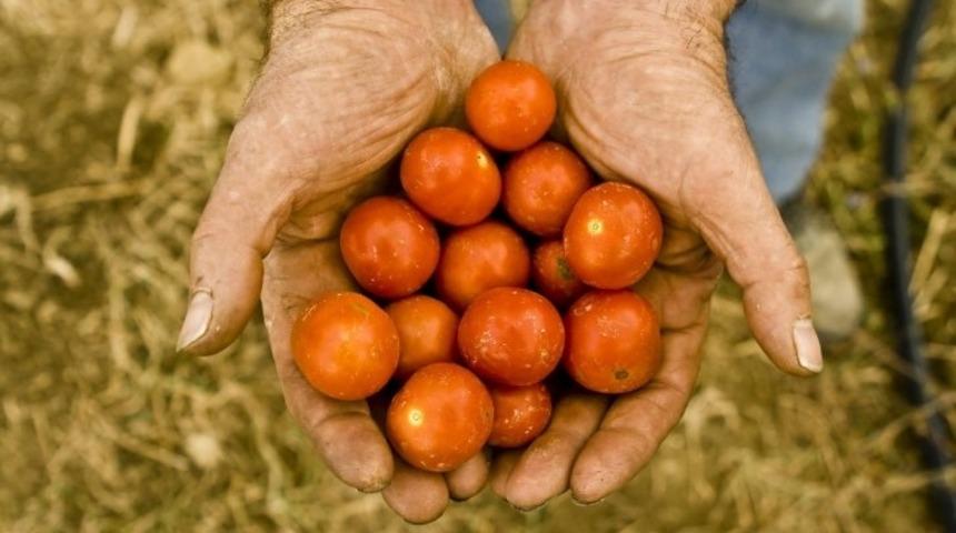 Slow Food: Yemek İşini Ağırdan Almak