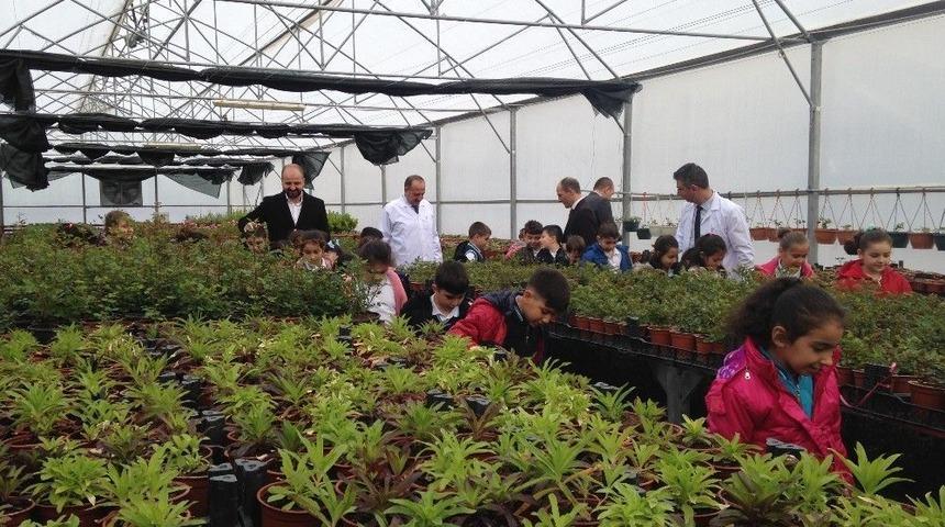 Minikler Organik Sebze Tohumu Ekti