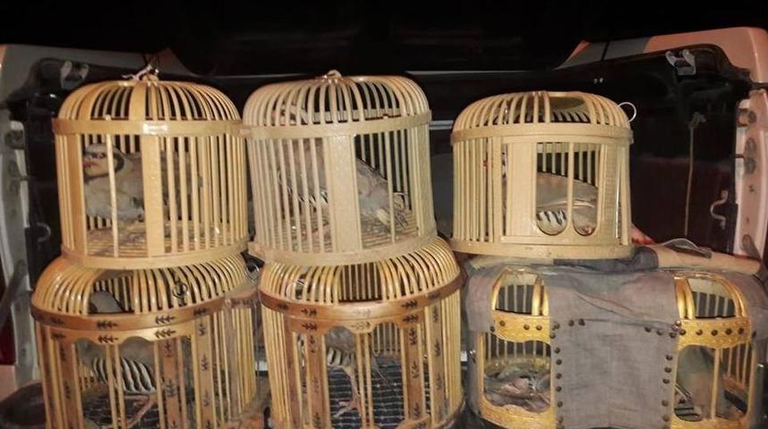 Van&rsquo;da Kafes Avcısına Ceza