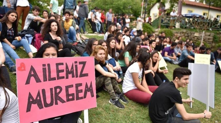 Doktor, M&uuml;hendis, Hukuk&ccedil;u, &Ouml;ğretmen, Pilot Olacaklar