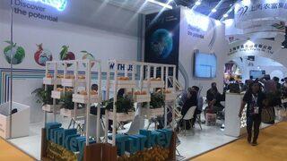 Türk Yaş Meyve Ve Sebzesi Hong Kong’ta Görücüye Çıktı