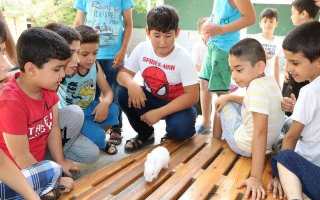 Kur’an Öğrenmeye Tavşanıyla Geliyor