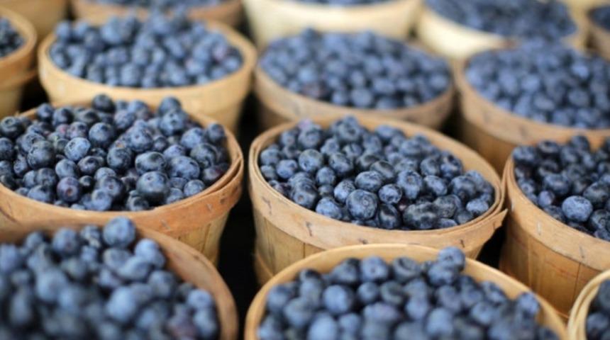 Para ve Zaman Harcamadan Yapabileceğiniz Detoks Yöntemleri