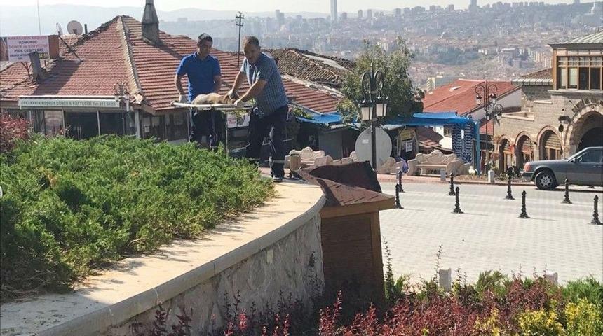 Altındağ’daki Hasta Sokak Köpeğine Anında Müdahale