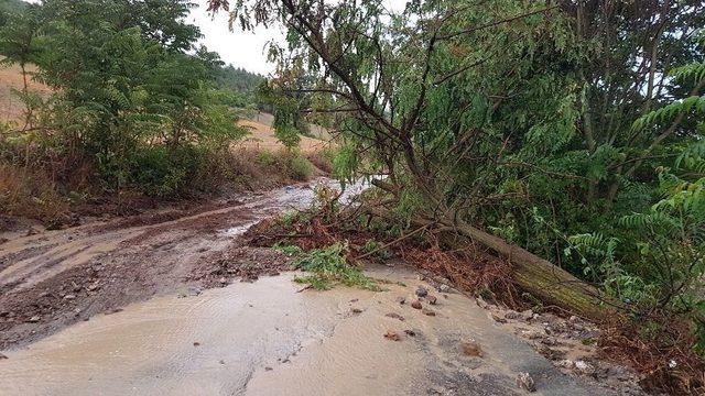 Samsun’da Sağanak Yağış Yol Kapattı