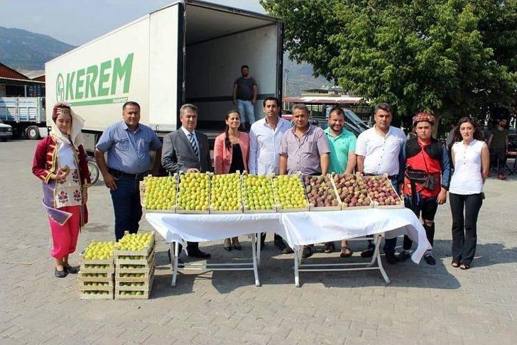 Taze İncire Zeybekli İhracat G4