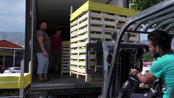 Taze İncire Zeybekli İhracat G5