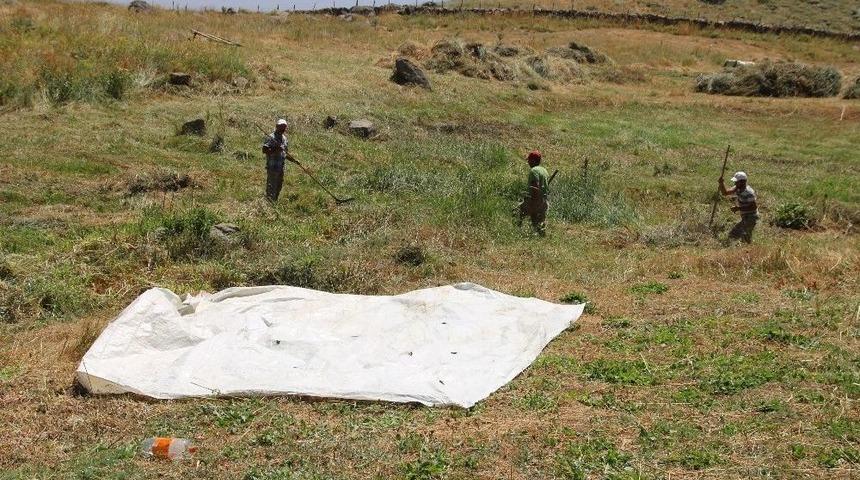 2000 Rakımlı K&ouml;yde Otları Branda İle Taşıyorlar