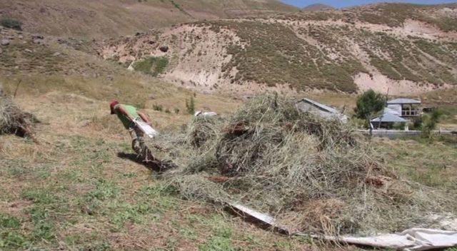 2000 Rakımlı Köyde Otları Branda İle Taşıyorlar