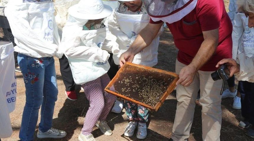 Saburhaneli &Ccedil;ocuklara Arıcılık Eğitimi