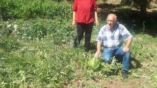 Ekolojik Pazar Projesiyle Organik Tarım Değer Kazanıyor