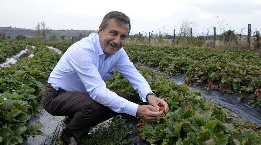 Başkan Ataç, Üreticilerle Buluştu