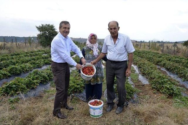 Başkan Ataç, Üreticilerle Buluştu