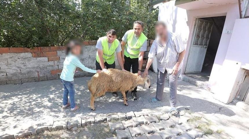 Yetim &Ccedil;ocuğun Sesini Belediye Başkanı Duydu