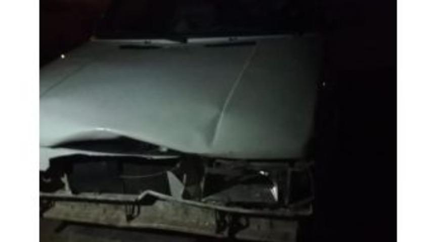 Otomobil Domuza &Ccedil;arptı: 2 Yaralı