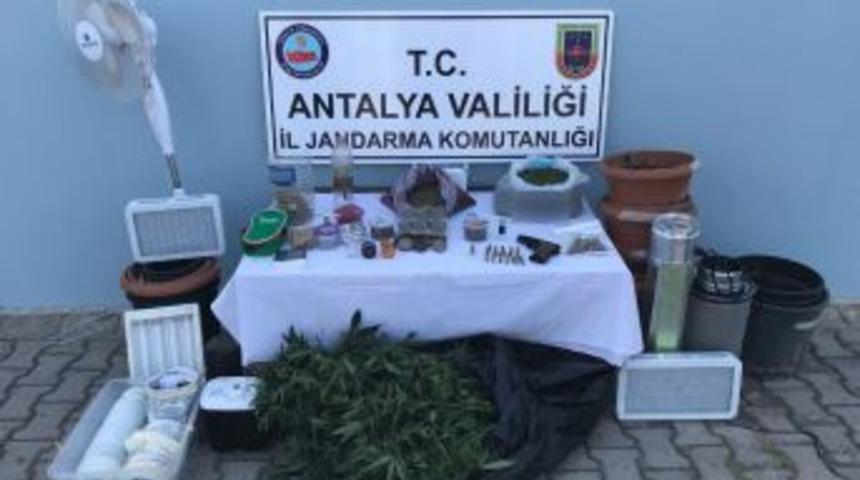 Alanya&rsquo;da İki Ayrı Adrese Uyuşturucu Baskını