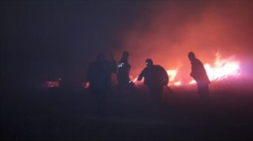 20 Hektar Alan Yandı