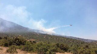 Tunceli’deki Orman Yangını Söndürüldü
