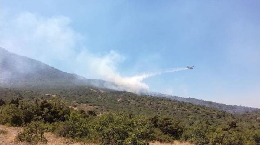 Tunceli’deki Orman Yangını Söndürüldü