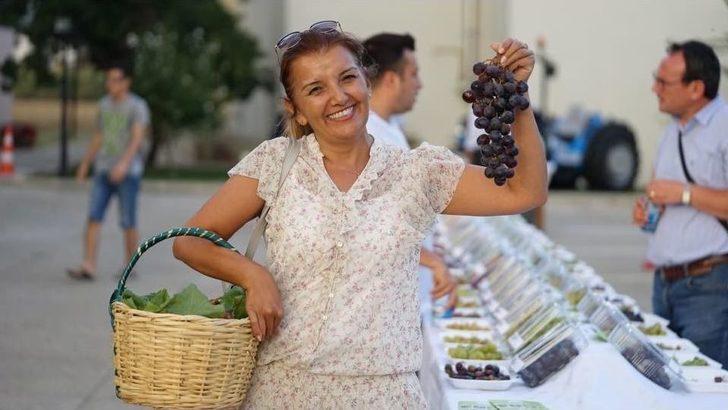 Trakya Bağ Bozumu Ve Ekoloji Festivali Başladı G1