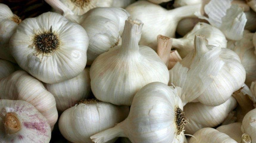 Sarımsak İle İlgili Bilmediğiniz İnanılmaz Gerçek!