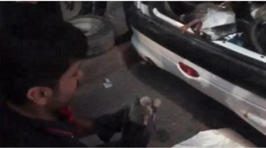 Otomobilde Mahsur Kalan Kedi Kurtarıldı