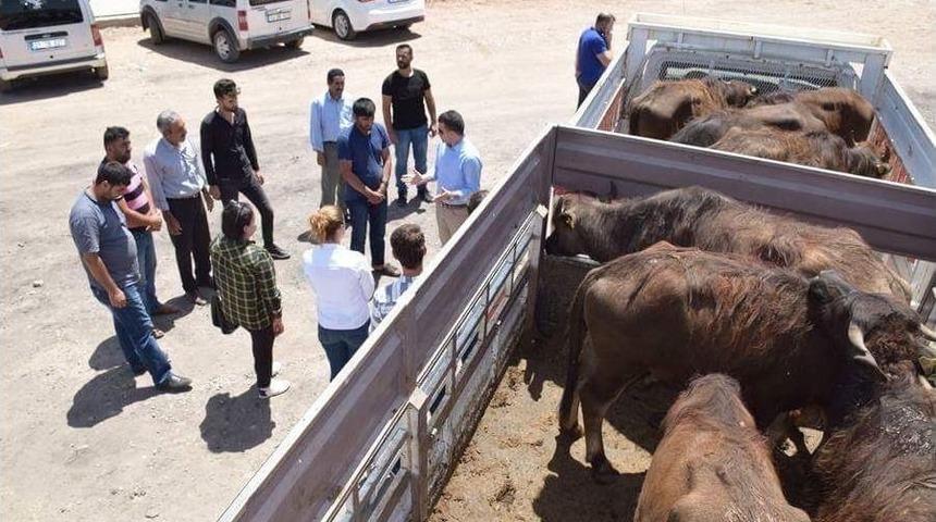 Kozluk&rsquo;ta "gen&ccedil; &Ccedil;ift&ccedil;i Projesi"