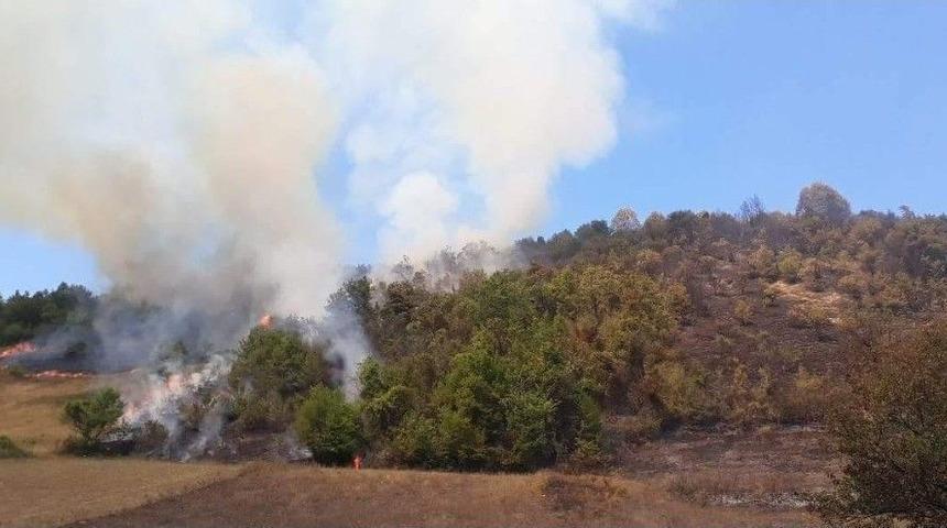 Bartın&rsquo;da Ormanlık Alanda &Ccedil;ıkan Yangın S&ouml;nd&uuml;r&uuml;ld&uuml;