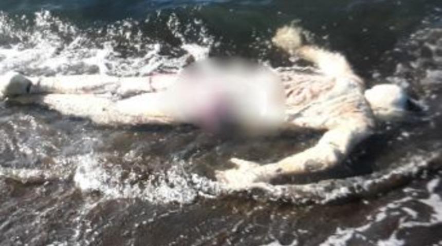 Samsun&rsquo;da Denizde Ceset Bulundu